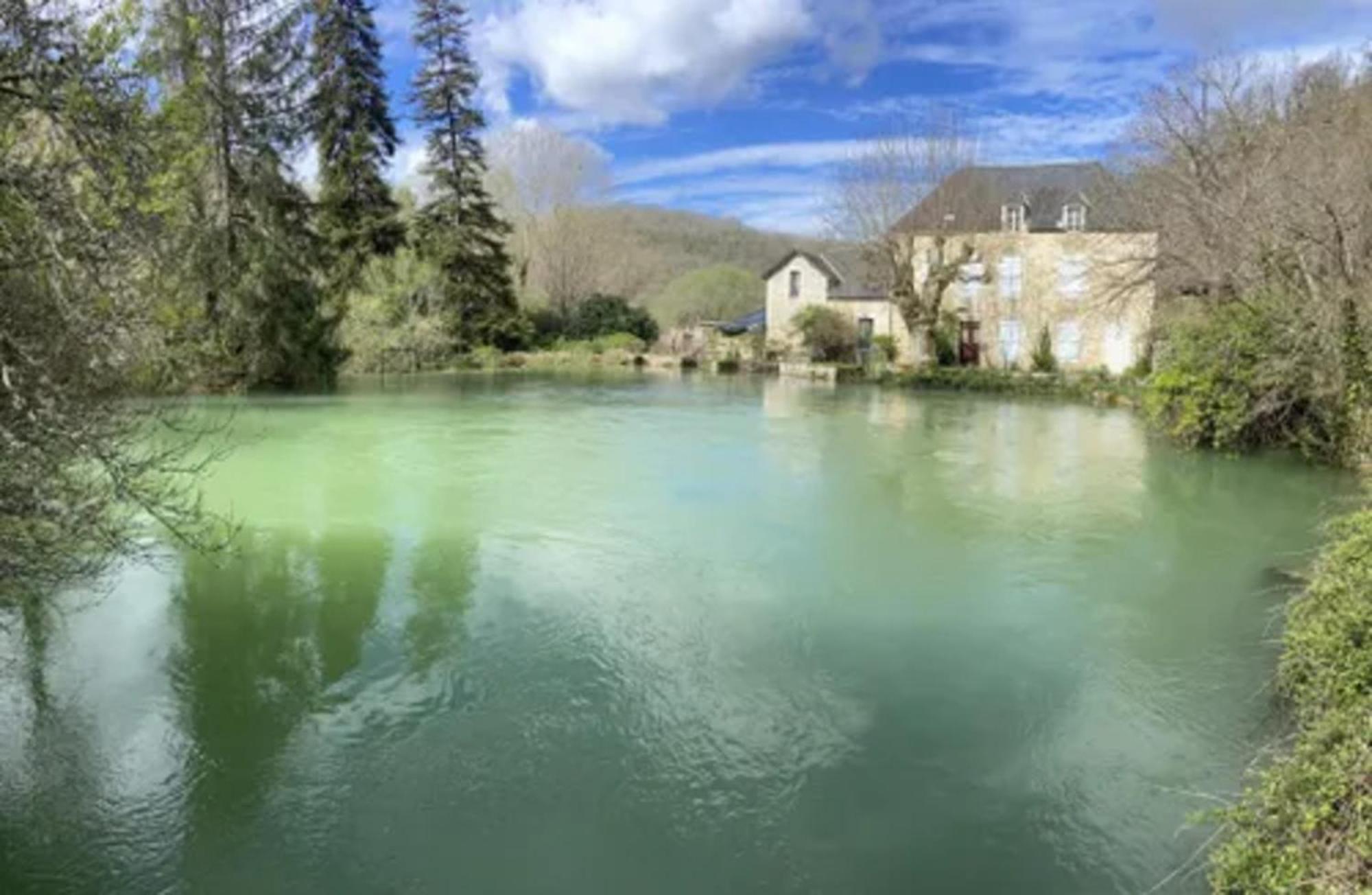 Domaine La Noyeraie Perigord Noir Villa Paulin Exterior photo